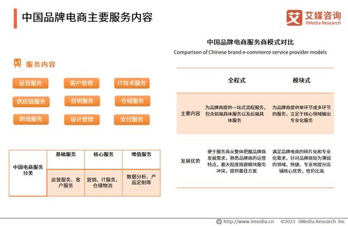 2023年中國品牌電商服務商行業(yè)研究報告 互聯(lián)網(wǎng)信息服務視角